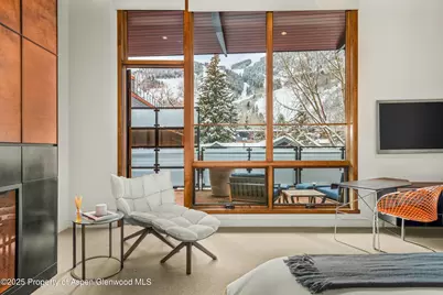 233 E Cooper Avenue #301, Aspen, CO 81611 - Photo 13