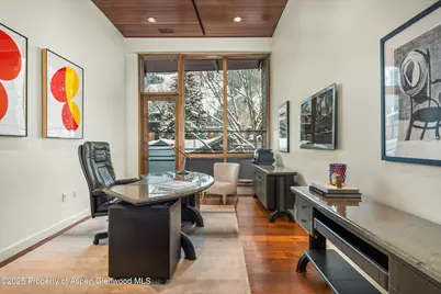 233 E Cooper Avenue #301, Aspen, CO 81611 - Photo 17