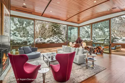 233 E Cooper Avenue #301, Aspen, CO 81611 - Photo 9