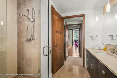 233 E Cooper Avenue #301, Aspen, CO 81611 - Photo 21