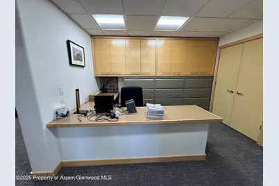 420 E Main Street #210, Aspen, CO 81611 - Photo 9