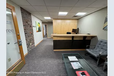 420 E Main Street #210, Aspen, CO 81611 - Photo 5