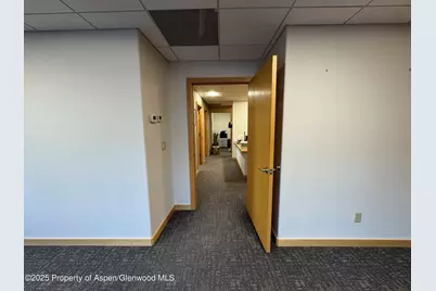 420 E Main Street #210, Aspen, CO 81611 - Photo 11