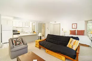 935 E Hopkins Ave, Aspen, CO 81611 - Photo 5