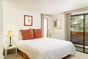 935 E Hopkins Ave, Aspen, CO 81611 - Photo 7