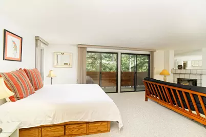 935 E Hopkins Avenue #6, Aspen, CO 81611 - Photo 13