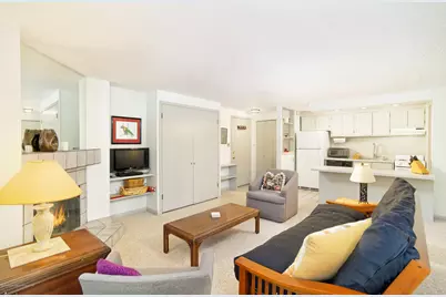 935 E Hopkins Avenue #6, Aspen, CO 81611 - Photo 3