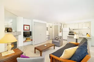 935 E Hopkins Ave, Aspen, CO 81611 - Photo 3