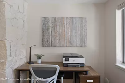 940 Waters Avenue #201, Aspen, CO 81612 - Photo 9