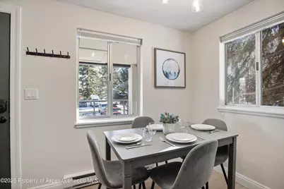 940 Waters Avenue #201, Aspen, CO 81612 - Photo 5