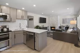 940 Waters Ave, Aspen, CO 81612 - Photo 3