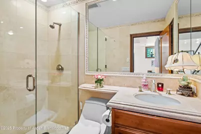 155 Lone Pine Road Road #9, Aspen, CO 81611 - Photo 19