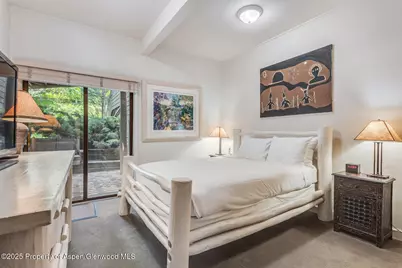851 Ute Avenue #B, Aspen, CO 81611 - Photo 43
