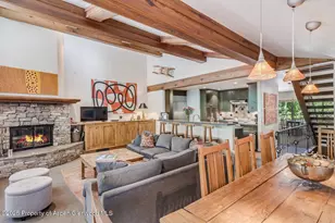 851 Ute Ave, Aspen, CO 81611 - Photo 11