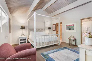 851 Ute Ave, Aspen, CO 81611 - Photo 29