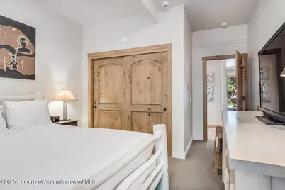 851 Ute Avenue #B, Aspen, CO 81611 - Photo 45