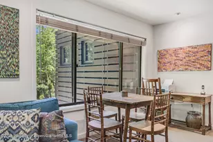 851 Ute Ave, Aspen, CO 81611 - Photo 25