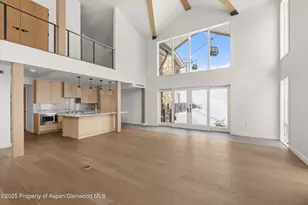 360 Wood Rd, Snowmass Village, CO 81615 - Photo 5