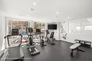 360 Wood Rd, Snowmass Village, CO 81615 - Photo 31