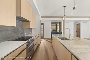 360 Wood Rd, Snowmass Village, CO 81615 - Photo 9