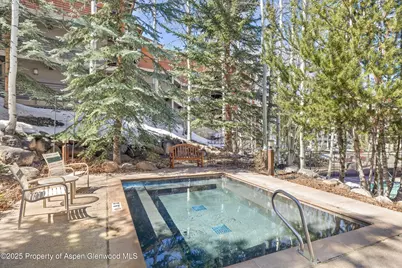 360 Wood Road #Unit 503, Snowmass Village, CO 81615 - Photo 17