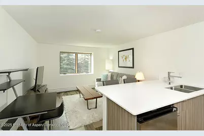 119 E Cooper Avenue #27, Aspen, CO 81611 - Photo 3