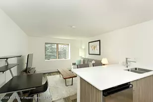 119 E Cooper Ave, Aspen, CO 81611 - Photo 3