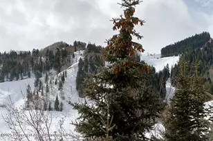 119 E Cooper Ave, Aspen, CO 81611 - Photo 9