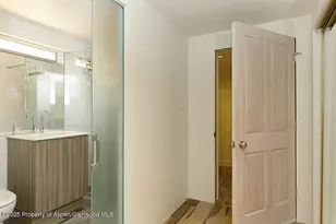 119 E Cooper Ave, Aspen, CO 81611 - Photo 7