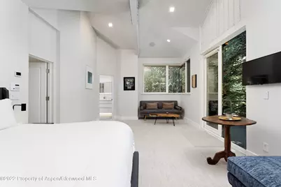 736 W Smuggler Street, Aspen, CO 81611 - Photo 19