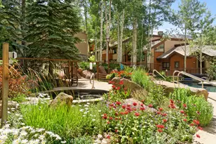 800 Ridge Rd, Snowmass Village, CO 81615 - Photo 29