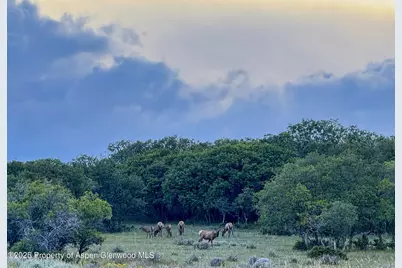 22000 P77 Rd Road, Cimarron, CO 81220 - Photo 29