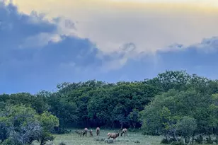 22000 P77 Rd Rd, Cimarron, CO 81220 - Photo 29