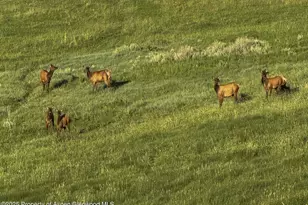 22000 P77 Rd Rd, Cimarron, CO 81220 - Photo 19