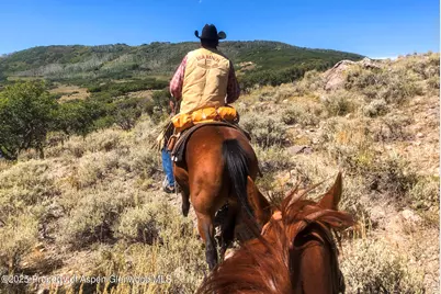 22000 P77 Rd Road, Cimarron, CO 81220 - Photo 27