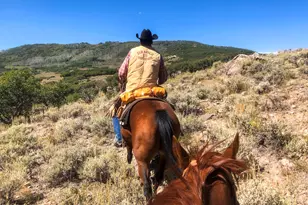 22000 P77 Rd Rd, Cimarron, CO 81220 - Photo 27
