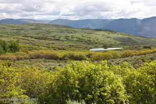 22000 P77 Rd Rd, Cimarron, CO 81220 - Photo 3