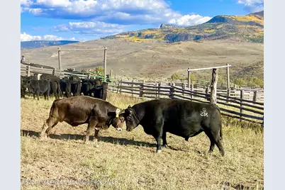 22000 P77 Rd Road, Cimarron, CO 81220 - Photo 25