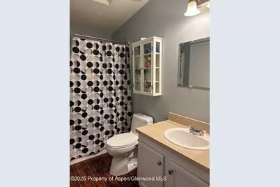 5033 County Road 335 #112, New Castle, CO 81647 - Photo 17