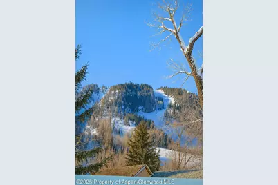 1006 E Cooper Avenue, Aspen, CO 81611 - Photo 15