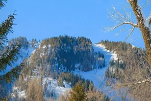 1006 E Cooper Ave, Aspen, CO 81611 - Photo 15