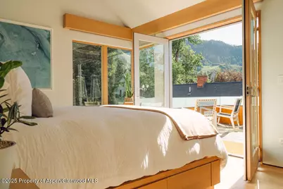 1006 E Cooper Avenue, Aspen, CO 81611 - Photo 7