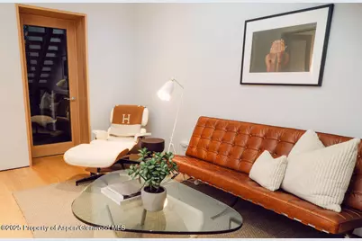 1006 E Cooper Avenue, Aspen, CO 81611 - Photo 41