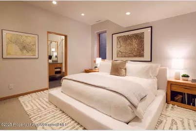 1006 E Cooper Avenue, Aspen, CO 81611 - Photo 47