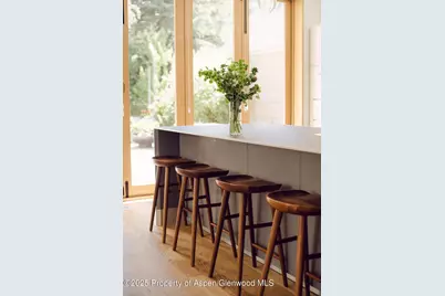 1006 E Cooper Avenue, Aspen, CO 81611 - Photo 29
