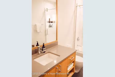 1006 E Cooper Avenue, Aspen, CO 81611 - Photo 51