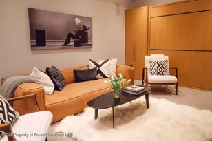 1006 E Cooper Ave, Aspen, CO 81611 - Photo 43