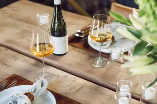 1006 E Cooper Ave, Aspen, CO 81611 - Photo 23