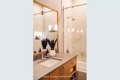 1006 E Cooper Avenue, Aspen, CO 81611 - Photo 49
