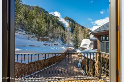 180 Exhibition Lane, Aspen, CO 81611 - Photo 29